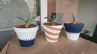 PAINTING POTS for my AGAVE PLANTS