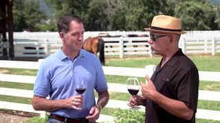 Tamber Bey Vineyards: Napa Valley Award-Winning Wines and World Class Equestrian Center