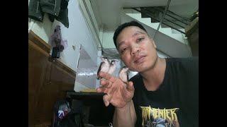 Hướng dẫn cách nuôi chim chào mào non cho người mới