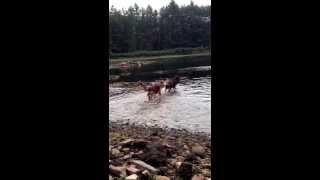 Sisters splashing around