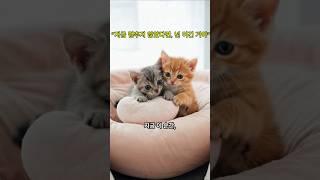 지금 멈추지 않았다면, 넌 이긴 거야  #마음에남는말 #위로가되는영상 #나란히걷는길 #함께라면#용기를주는말#버텨줘서고마워#다시시작#마음에새기는말#오늘도견뎌낸너에게