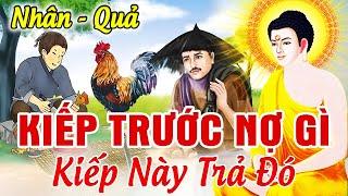 Nhân Quả Báo Ứng 2024 Hay Nhất, KIẾP TRƯỚC NỢ GÌ KIẾP NÀY TRẢ ĐÓ...Báo Ứng 3 Đời | Nhân Nào Quả Đó