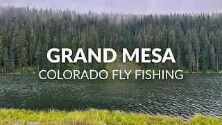 Mountain Lake Full of FOOTBALL Sized Rainbow & Brook Trout | Grand Mesa | FLY FISHING COLORADO