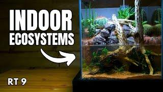 The Secret to Building Indoor Ecosystems