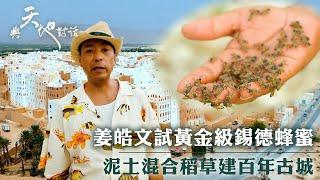 與天地對話｜姜皓文試黃金級錫德蜂蜜 泥土混合稻草建百年古城｜人生 心靈 大自然 ｜姜皓文｜TVB綜藝