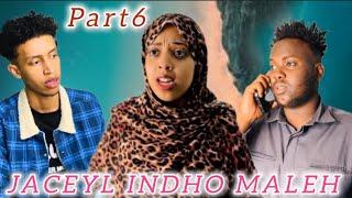 SOMALI SHORT FILM | QISO QOYS | JACEYL INDHO MALEH | KAWARAN HADI ABAHA AN DILNO  | PART6