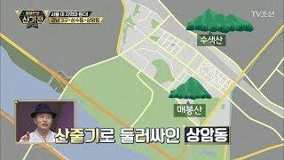 풍수지리전문가가 본 상암동은? [2017송년특집_정보전쟁 신기전] 2회 20171231