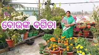 ବୋଉଙ୍କ ବଗିଚା || Terrace Vegetable Garden  //jitanshu sekhar odia