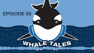 Whale Tales Podcast Episode 065 - Erin Gless from Pacific Whale Watch Association