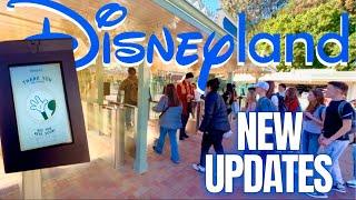 Disneyland Construction updates in 2025 | What rides & attractions are closed | DCA refurbishments!