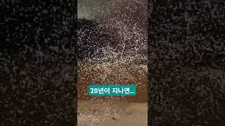 28년이 지나면... 황영웅 어린시절 황영웅tv #황영웅 #황영웅tv #황영웅봄콘서트 #권영찬 #조갑제 #김용빈 #황영웅방송출연 #이찬원 #영탁 #박서진 #진해성