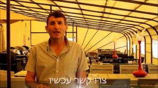 ריהוט גן במבצע