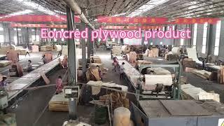 Eoncred plywood product process- Factory Manufacturer