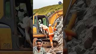 #animals #automobile #cow #funny #comedy #facts #youtubeshorts #motivation #whowillbemylifepartnert