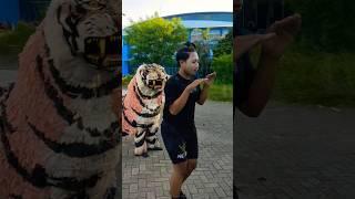 MACAN LUCU BANGET permainan baru bagaz dengan sapu