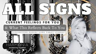 All Signs Love Tarot  Current Feelings + What This Reflects Back to You  LIVE #TimeStamped