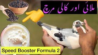 Speed Booster Formula for Racing Pigeons part 2 | Pakistani Pigeon loft