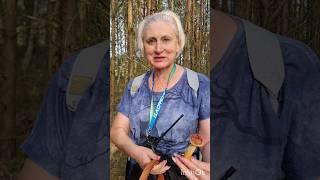 грибы шпионы из Америки. ЗОЛОТИСТЫЙ БОРОВИК. мнения от грибников #shorts