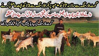 Chaudhary Faisal Goat Farm | Desi Goat Farming Tips in Urdu | Earn 7 Lac From Goat Farming