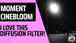 Moment CineBloom Diffusion Filter Review