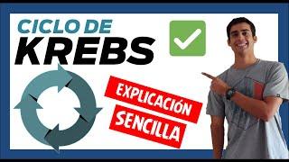  CICLO DE KREBS EXPLICACIÓN SENCILLA  (En 13min) Paso a Paso