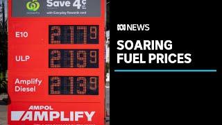 Why is fuel so expensive and when will prices go down again? | ABC News