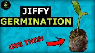 Use Jiffy as a BEGINNER - White Widow (germination)