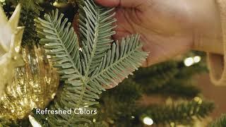 The All-New BH Fraser Fir®: A Sneak Peek | Balsam Hill®