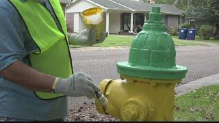 Operation Green Team helps neighbors in Holiday Homes