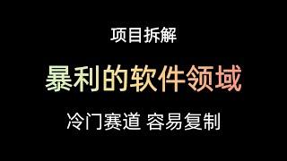 冷门项目，软件领域暴利项目拆解