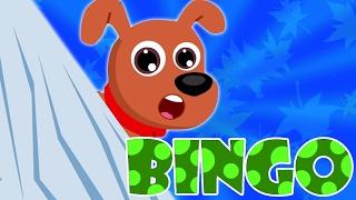 Bingo con chó | vần điệu trẻ | vần cho trẻ em | Song For Kids | Kids Rhyme | Bingo The Dog