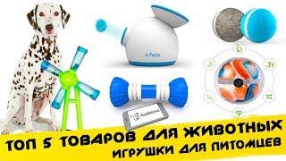  Топ 5 ИГРУШКИ ДЛЯ СОБАК / ТОВАРЫ ДЛЯ ЖИВОТНЫХ