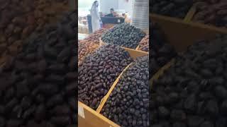 2025 hajj live jumarat live #Makkah Mina live Arafah Muzdalifah Hajj live makkah live #madina live