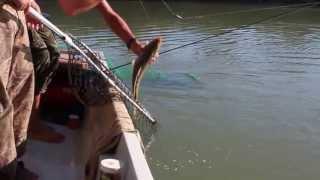 Fishing. Kazakhstan. Lake Balkhash. Рыбалка в Казахстане. Ловля сазана на базе У Эвальда. Балхаш