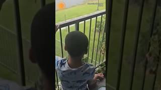 Boy learns tough lesson after moth he raised gets immediately snatched by bird #shorts