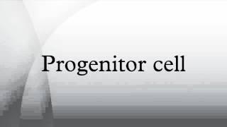 Progenitor cell