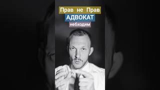 Правоту нужно доказывать! #адвокат #зачемадвокатвуголовномпроцессе #адвокатпигальков #правда