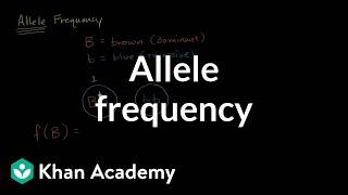 Allele frequency