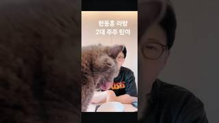 한동훈 라방 2대주주 '탄이'와 함께하는 라방 이게 후니라방인지 탄이라방인지ㅋㅋㅋ 놀람주의