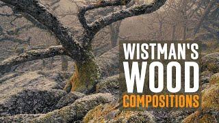 Woodland Landscape Photography - Composition Tips - Wistman's Wood Dartmoor / Devon