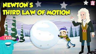 Newton's 3rd Law of Motion | Action and Reaction Forces with Examples | Physics Laws | Dr. Binocs