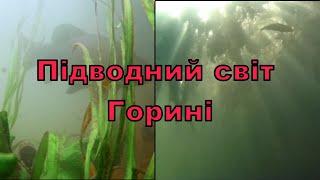 Невдала рибалка, но чудове підводне дослідження р. Горинь. Підводна зйомка.