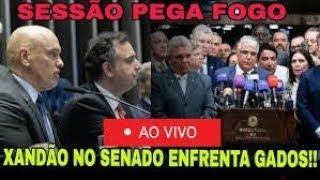 SUPER XANDÃO olha pq perde paciência e toma DECISÃO .. ao vivo