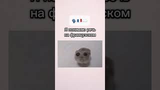 #английскийязык #французскийязыконлайн #французскийязык #englishlearning #english #memes #мем