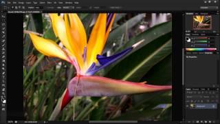 Adobe Photoshop CS6 (Beta)|First Look and Features