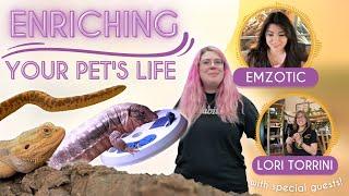 Simple Ways To Improve Your Reptile's Life! | Enrichment Ideas That EVERY Pet Owner Should Know!