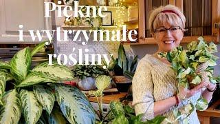 TYCH ROŚLIN NIE WYKOŃCZYSZ TAK ŁATWO / MAŁO  WYMAGAJĄCE I ŁATWE W UPRAWIE ROŚLINY