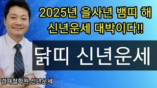 닭띠 신년운세 2025년 을사년 93년생 81년생 69년생 57년생 45년생 전화상담 및 방문상담 051-805-4999