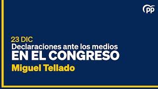 Miguel Tellado realiza declaraciones ante los medios en el Congreso