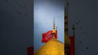 Mera Imam Hussain as Noha #yahussain as #yaabbas as #nadeemsarwar #karbala #noha #trending #shorts